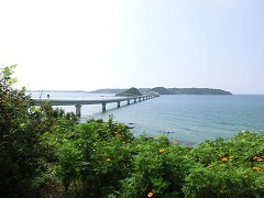 �p���勴
